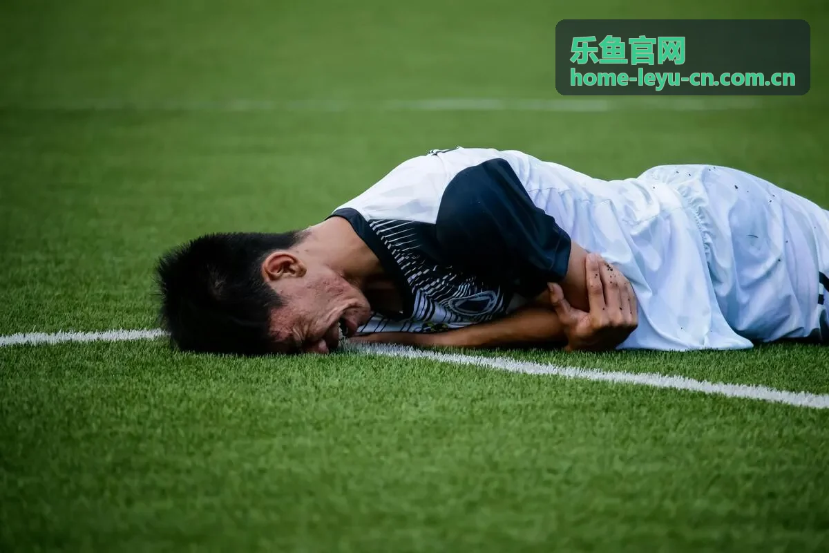 乐鱼官网球迷社区共建方